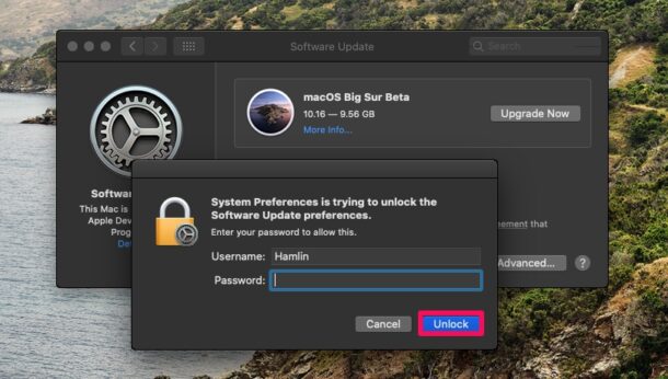 if i stop receiving beta software for mac what happens to the existing software